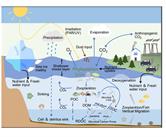 Responses Of Marine Microbes To Multiple Environmental Drivers Of